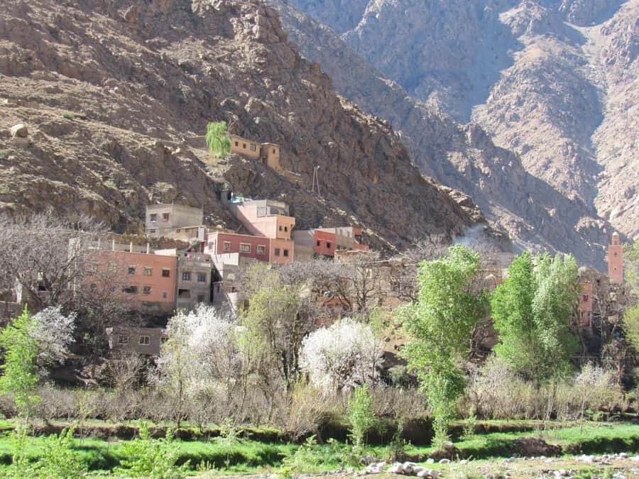 Ourika valley & atlas mountains guided tour from Marrakech - The panoramic photo stop