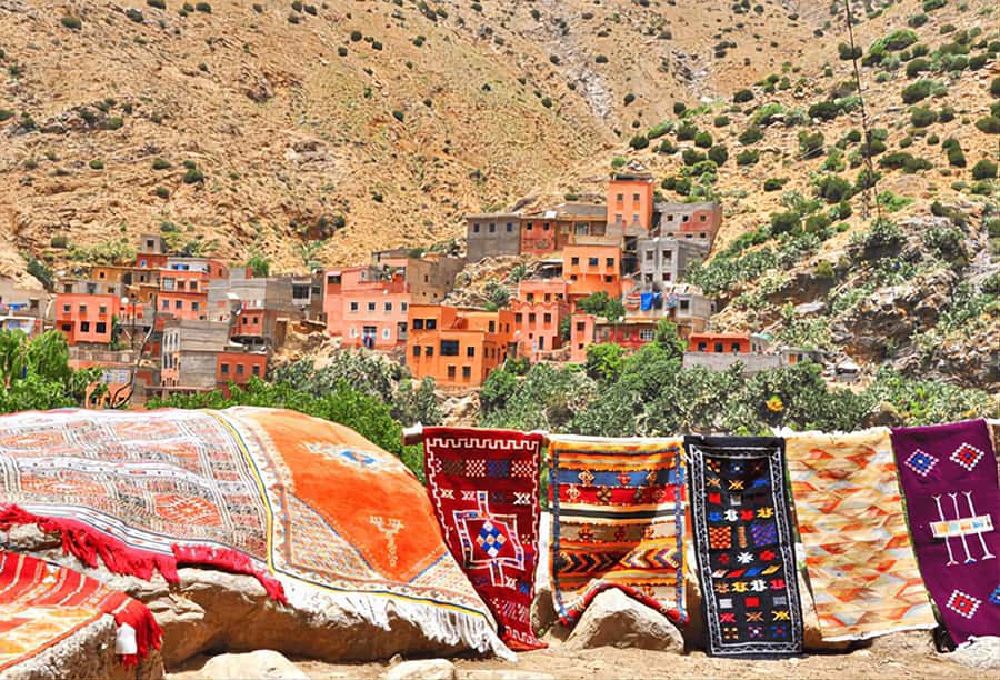 Ourika Valley, Atlas Mountains, Waterfalls & Guided Tour - The argan oil cooperative and the sales question