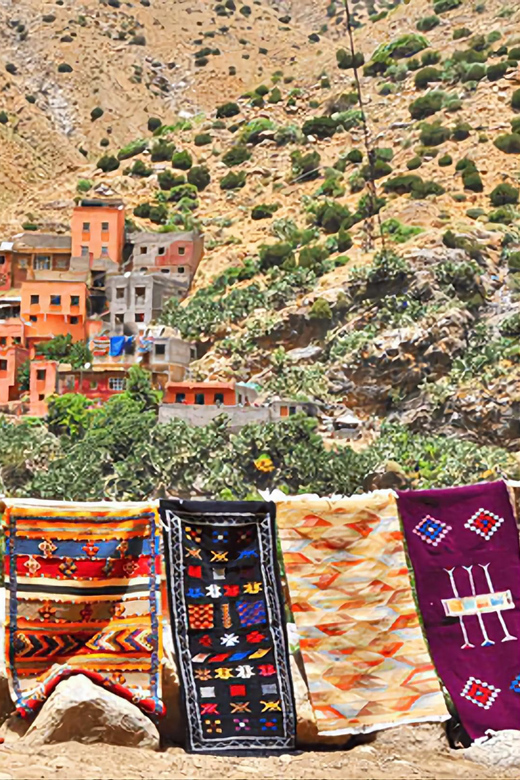 Ourika Valley, Atlas Mountains, Waterfalls & Guided Tour - Lunch beside the river costs extra