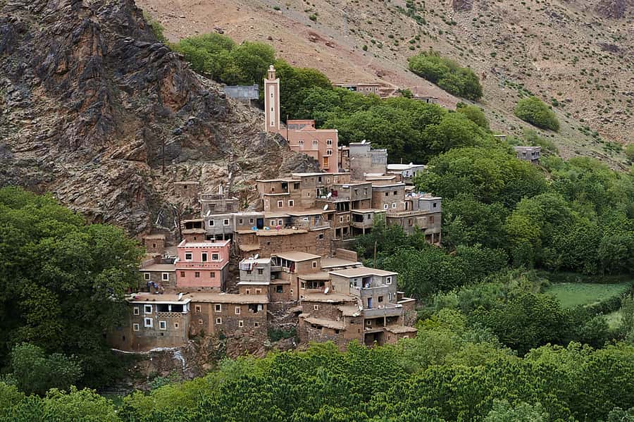 Ourika Valley, Atlas Mountains, Waterfalls & Guided Tour - What the $22 price really buys