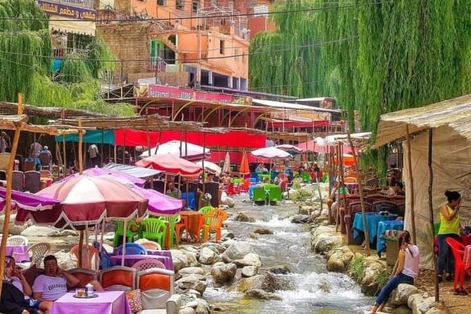 Ourika Valley Day Trip From Marrakech - Ourika Valley Marrakech - What the $13.96 price really gives you