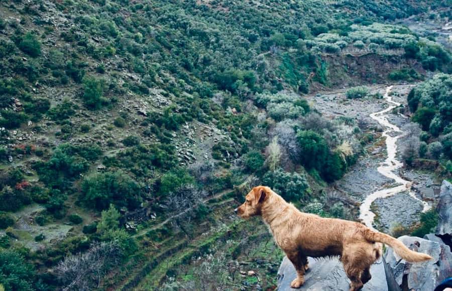 Ourika Valley: Quad Biking,Camel Riding,and Hiking Adventure - Guides, vehicles, and group size
