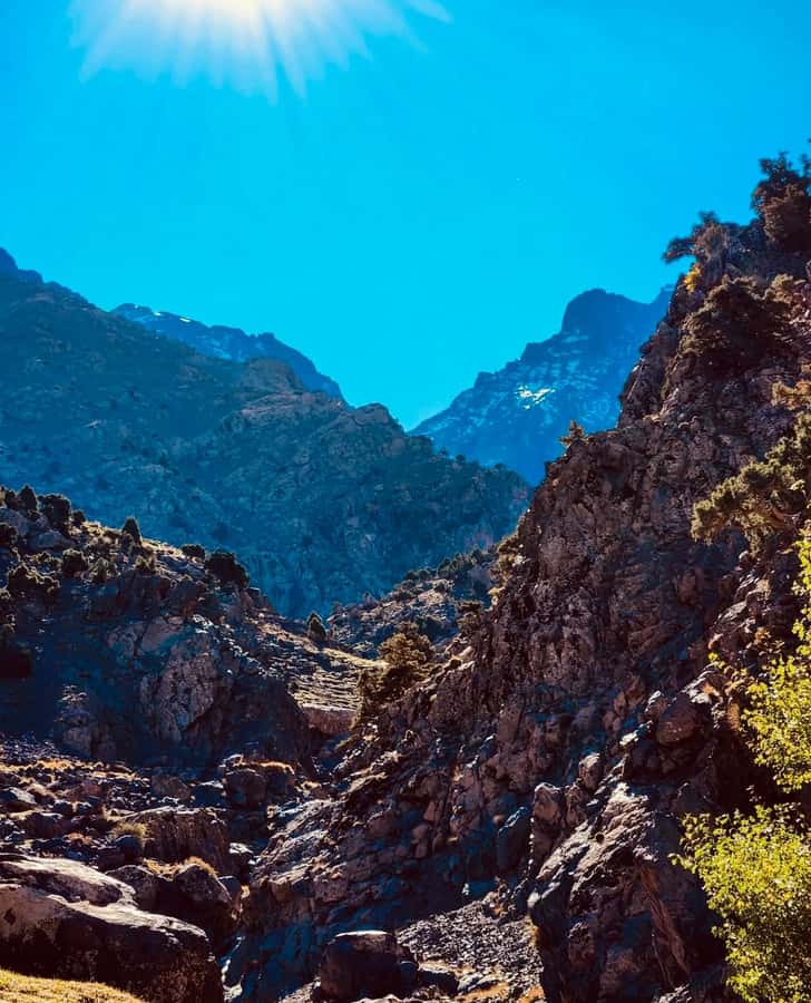 Ourika Valley: Quad Biking,Camel Riding,and Hiking Adventure - Hiking to the Ourika waterfalls