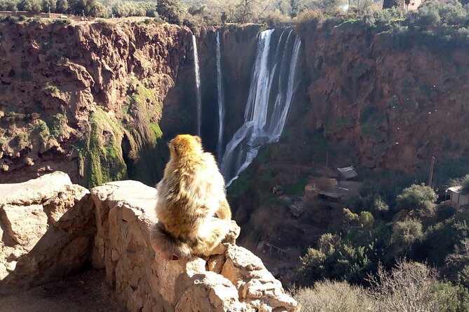 Ouzoud Waterfalls Full Day Trip From Marrakech - Guides Make a Big Difference