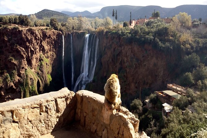 Ouzoud Waterfalls Full Day Trip From Marrakech - Lunch With a View, But Watch the Bill