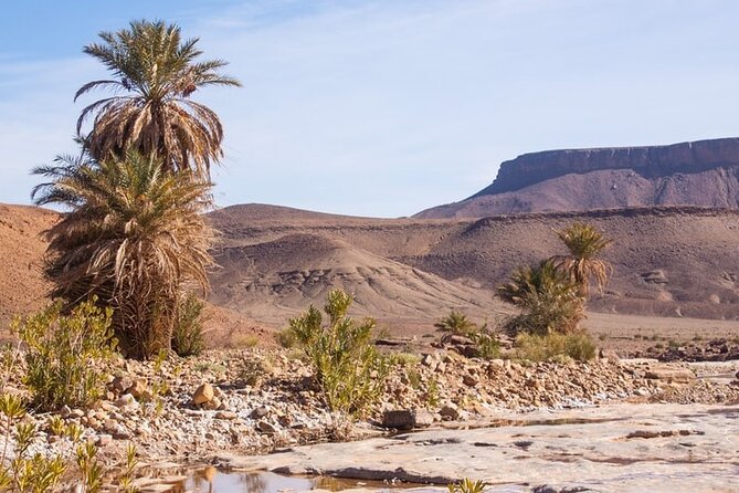 Overnight Sahara Tour from Marrakech to Mhamid - What the Marrakech to Mhamid route is really like