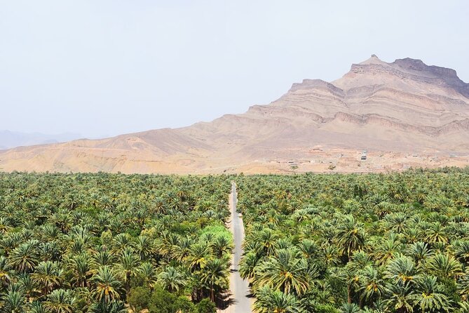 Overnight Sahara Tour from Marrakech to Mhamid - Tamegroute and the approach to Mhamid