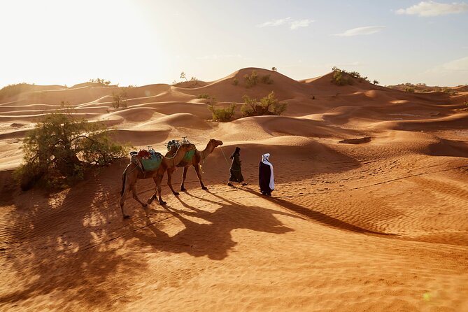 Overnight Tour From Fes to Sahara Desert - What the $104.53 price really includes