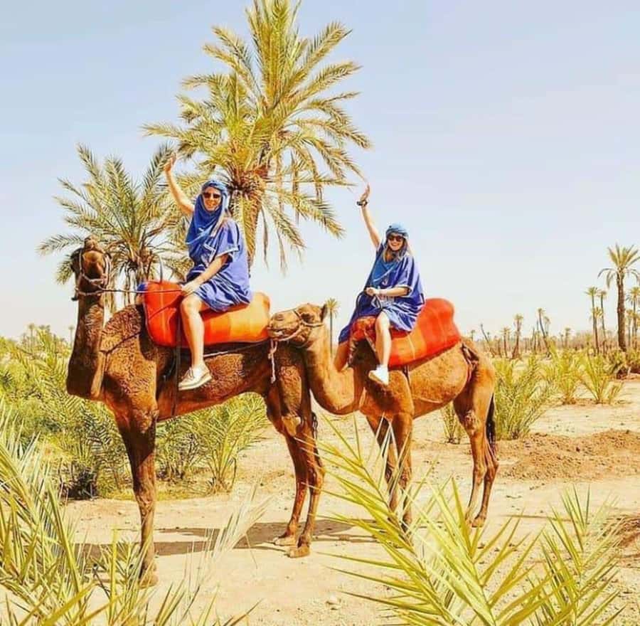 Palmeraie Marrakech Camel Ride & Quad Bike Package Exprience - What the Palmeraie experience is really like