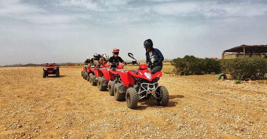 Palmeraie Marrakech Camel Ride & Quad Bike Package Exprience - The short camel ride through the palm groves