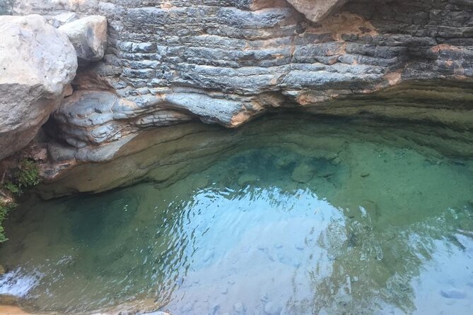 Paradise Valley and Atlas Mountains Adventure in Agadir - Mint tea, honey, argan products, and the botanical garden
