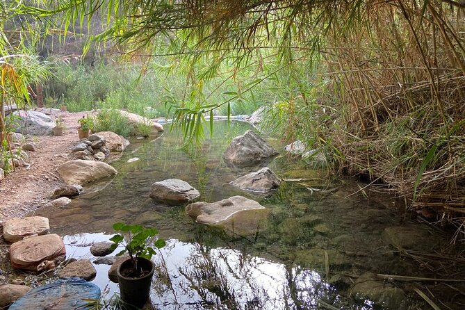 Paradise Valley and Atlas Mountains Adventure in Agadir - How much value do you get for $29.08?