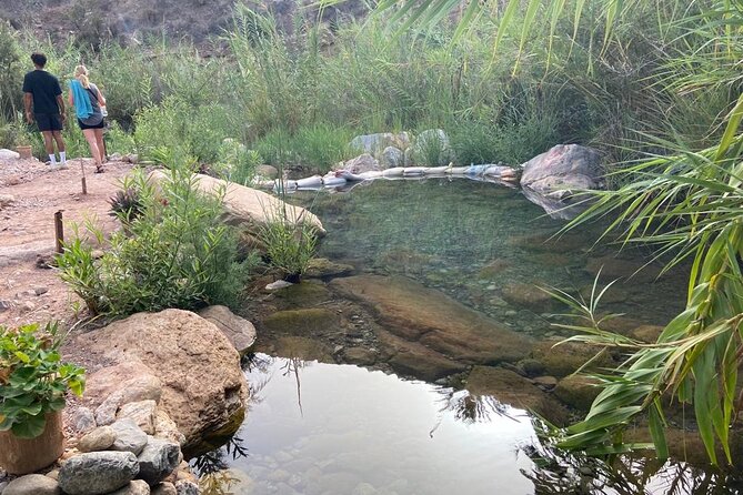 Paradise Valley and Atlas Mountains Adventure in Agadir - What makes Mohamed such an important part of the day