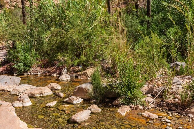 Paradise Valley & Atlas Mountains Adventure with optional LUNCH - What the swimming stop is really like