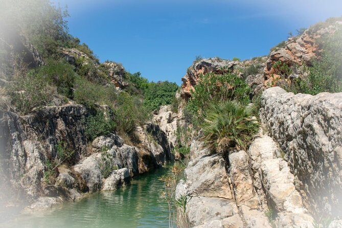 Paradise Valley & Atlas Mountains Adventure with optional LUNCH - Lunch, drinks, and the real value of $16.28