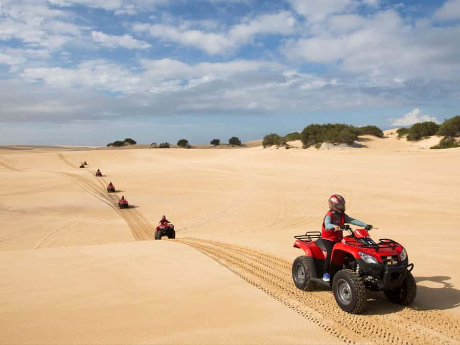 Paradise Valley & Desert Dunes with Camel Ride and quad bike - Key points to know before booking