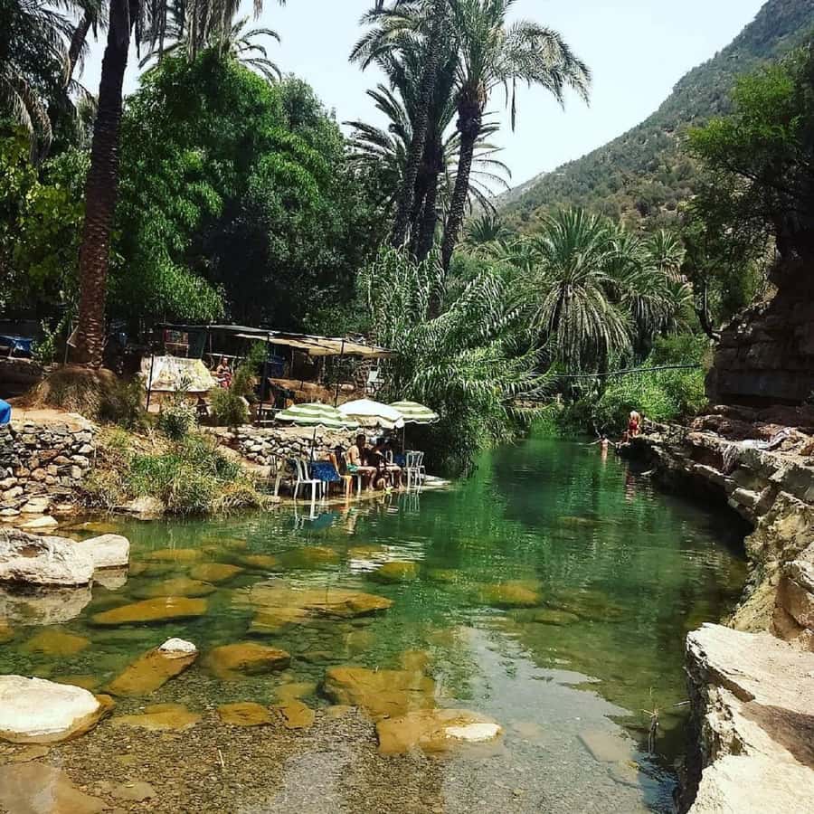 Paradise Valley & Desert Dunes with Camel Ride and quad bike - Should you book this Agadir day trip?