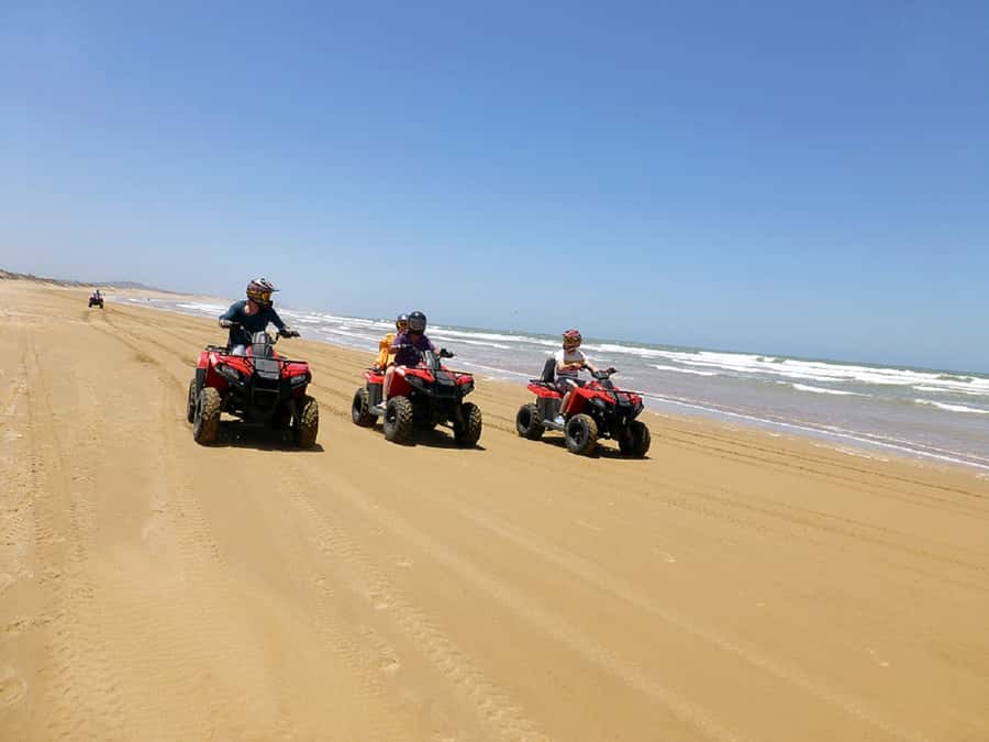Paradise Valley & Desert Dunes with Camel Ride and quad bike - Is $147 a fair price?