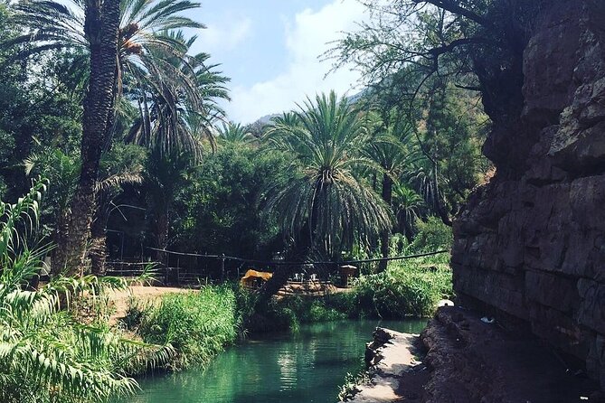 Paradise Valley & The Old Taghazout village Private Tour - Leaving Agadir for the banana village and Atlas foothills