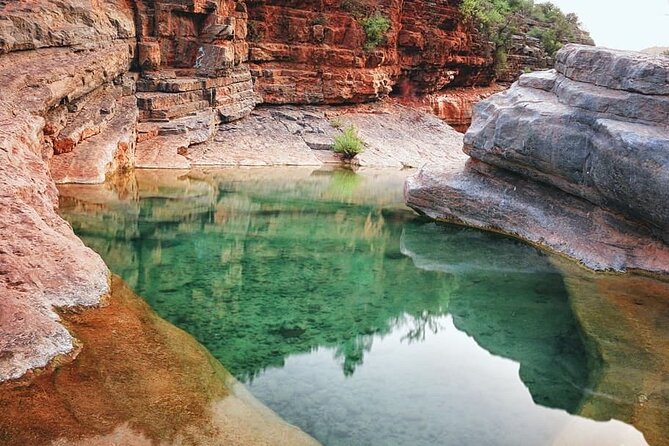 Paradise Valley & The Old Taghazout village Private Tour - One hour in Paradise Valley