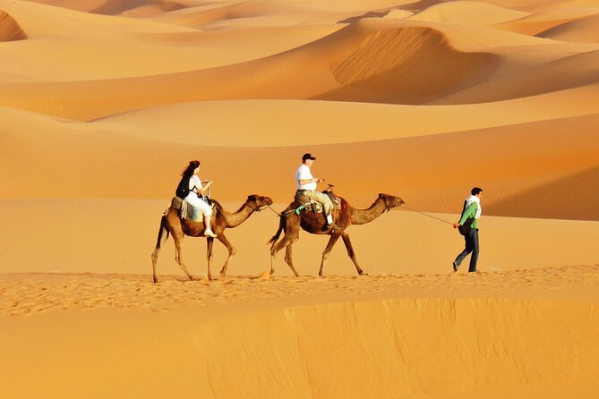 Private 4-Day Desert Tour from Marrakech to Zagora & Merzouga - Day Three: Sunrise, Fossils, and Todra Gorge