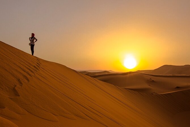 Private 4-Day Desert Tour from Marrakech to Zagora & Merzouga - The Private Vehicle and Guide Question