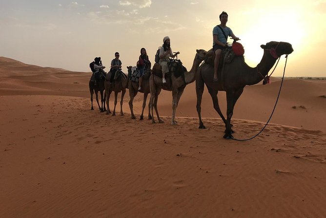 Private 4 Days Desert Tour from Fes to Marrakech - The Tizi n Tichka road into Marrakech