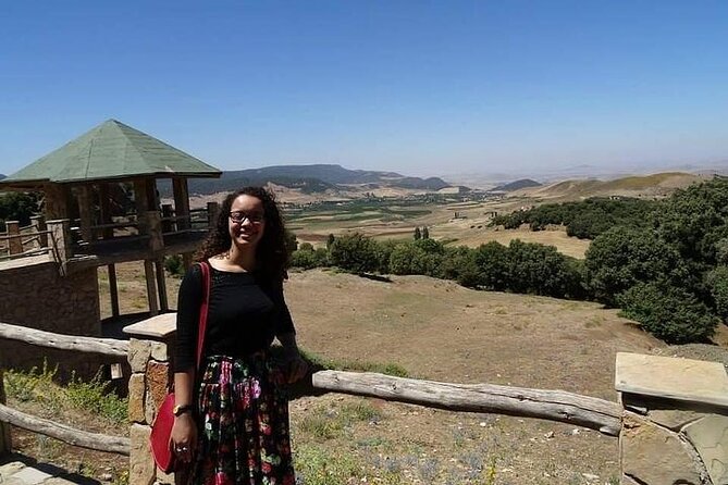 Private Day Tour from Fez to the Middle Atlas - Azrou Cedar Forest and Barbary apes