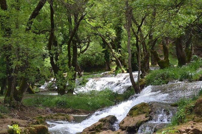 Private Day Tour from Fez to the Middle Atlas - Imouzzer Kandar and the pull of fresh water