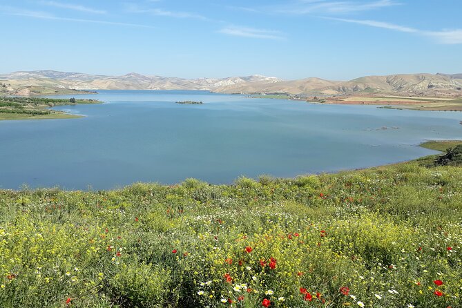 Private Day Tour to Meknes, Volubilis and Moulay Idriss from Fez - Communication and guide arrangements