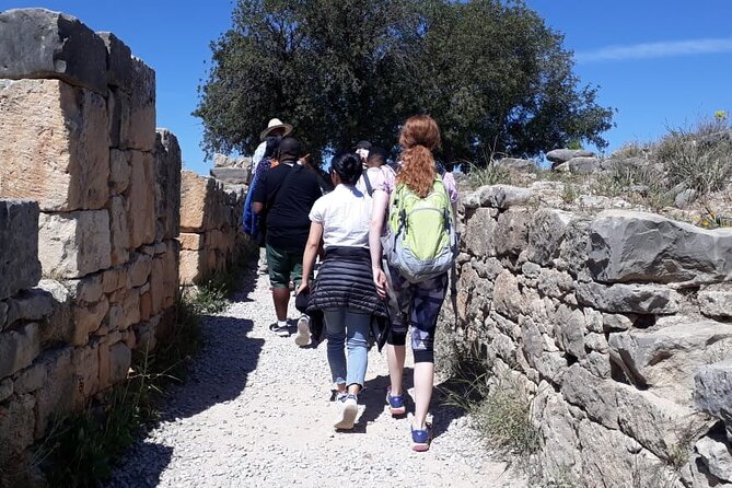 Private Day Tour to Meknes, Volubilis and Moulay Idriss from Fez - Who should book this Fez day trip?