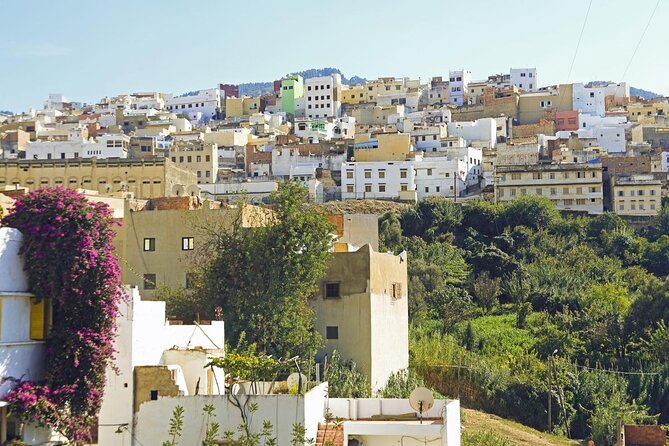 Private Day Trip From Fez To Volubilis and Meknes - Why this day trip works from Fez