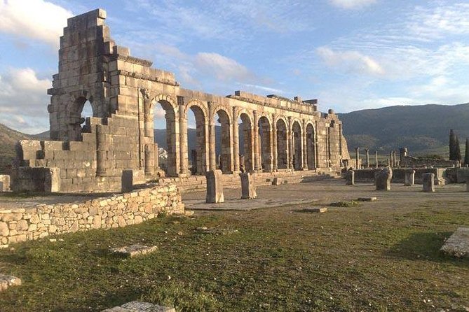 private Day trip from Fez to Volubilis and Meknes (without shopping) - Volubilis and its Roman mosaics