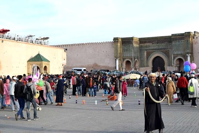 private Day trip from Fez to Volubilis and Meknes (without shopping) - What the private format really gives you