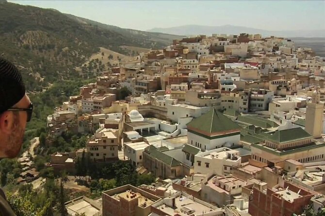 private Day trip from Fez to Volubilis and Meknes (without shopping) - Who should book this outing?