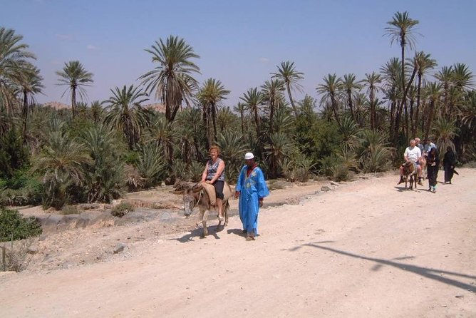 Private Day Trip of Taroudant & Tiout from Agadir - Lunch and the Tiout palm grove