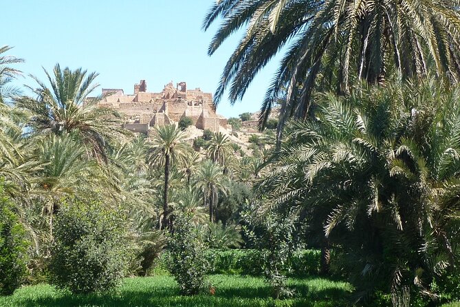 Private Day Trip of Taroudant & Tiout from Agadir - Four hours among Taroudant’s walls