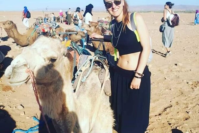 Private day trip to Marrakech from Casablanca - Casablanca to Marrakech by private vehicle