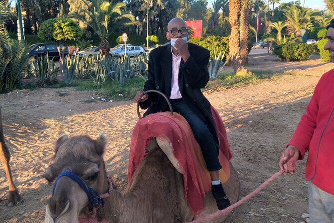 Private day trip to Marrakech from Casablanca - Menara Gardens and the wide pool