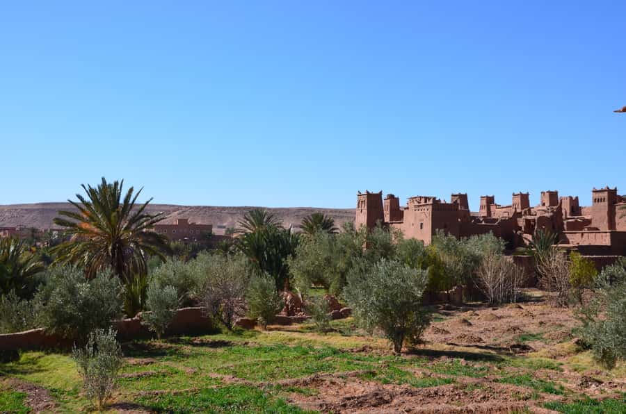 Private Day Trip To Ouarzazate & Ait Ben Haddou Kasbah - Communication and service details to confirm