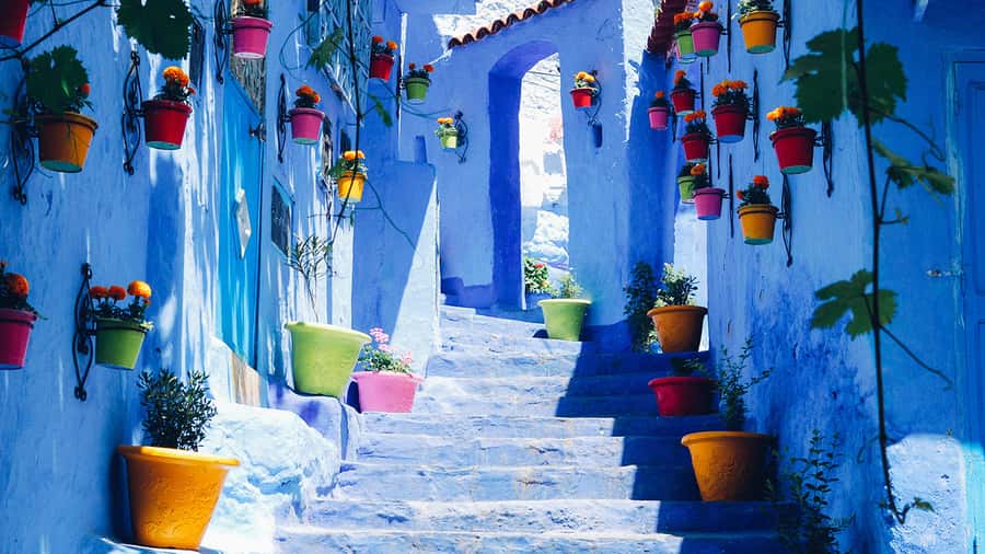 Private - Day Trip to the Blue City of Chefchaouen - Lunch in Chefchaouen, at your own expense