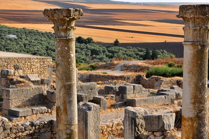 Private Day Trip to Volubilis Meknes and Moulay Driss From Fez - Walking among the Roman stones at Volubilis