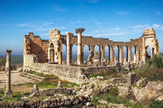 Private Day Trip to Volubilis Meknes and Moulay Driss From Fez - Who will get the most from this tour?