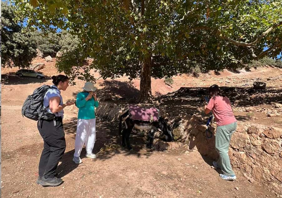 Private Day Trip to Volubilis, Moulay Idriss and Meknes - The morning drive from Fes to Volubilis