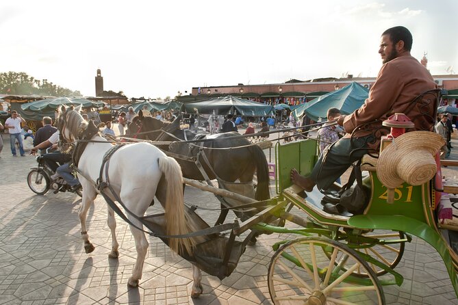 Private Driver for a full day in Marrakech - What this Marrakech driver service really provides