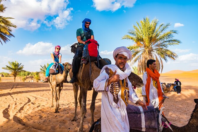Private Driver for a full day in Marrakech - The medina, palaces, and gardens