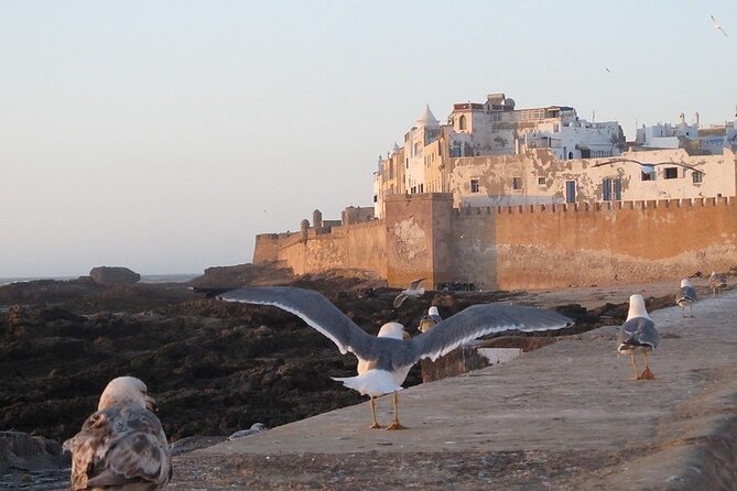Private Essaouira Day Trip From Agadir - Key points to know before booking