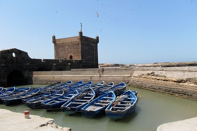 Private Essaouira Day Trip From Agadir - Seeing how argan oil is made
