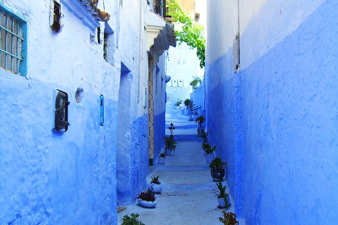 Private Full Day Trip To Chefchaouen From Fez - Three hours inside the Chefchaouen Medina