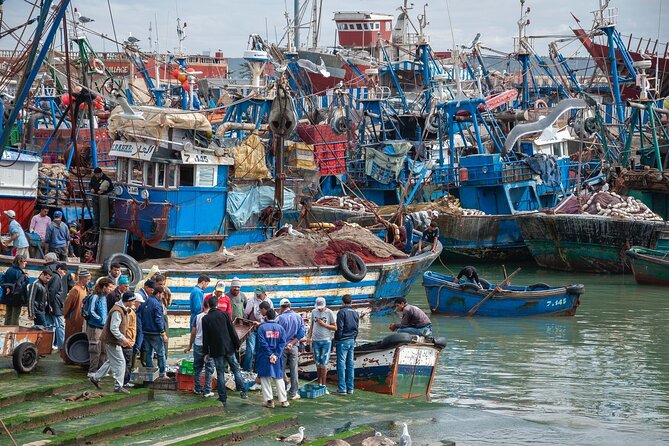 Private Grand Tour of Morocco - Essaouira in the morning, Marrakech after dark